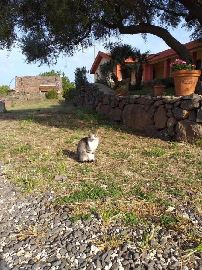 Agriturismo Conca' E Janas ดอร์กาลี ภายนอก รูปภาพ