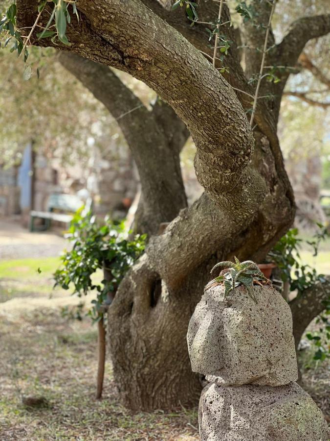 Agriturismo Conca' E Janas ดอร์กาลี ภายนอก รูปภาพ