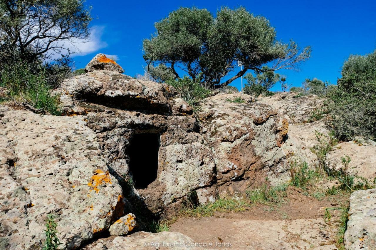 Agriturismo Conca' E Janas ดอร์กาลี ภายนอก รูปภาพ